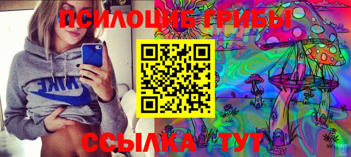 Псилоцибиновые грибы GOLDEN TEACHER  Вход с VPN  Тутаев  Галлюциногенные грибы Magic Shrooms 